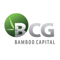 Tập đoàn Bamboo Capital