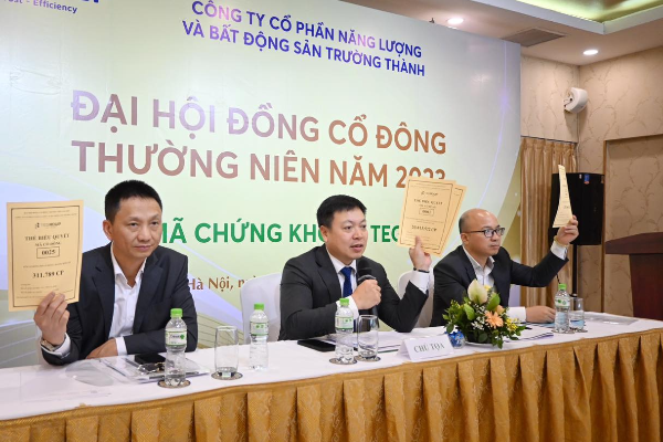 ĐHĐCĐ TEGroup (TEG): Lên kế hoạch lãi 111,47 tỷ đồng năm 2023, điều chỉnh kế hoạch tăng vốn